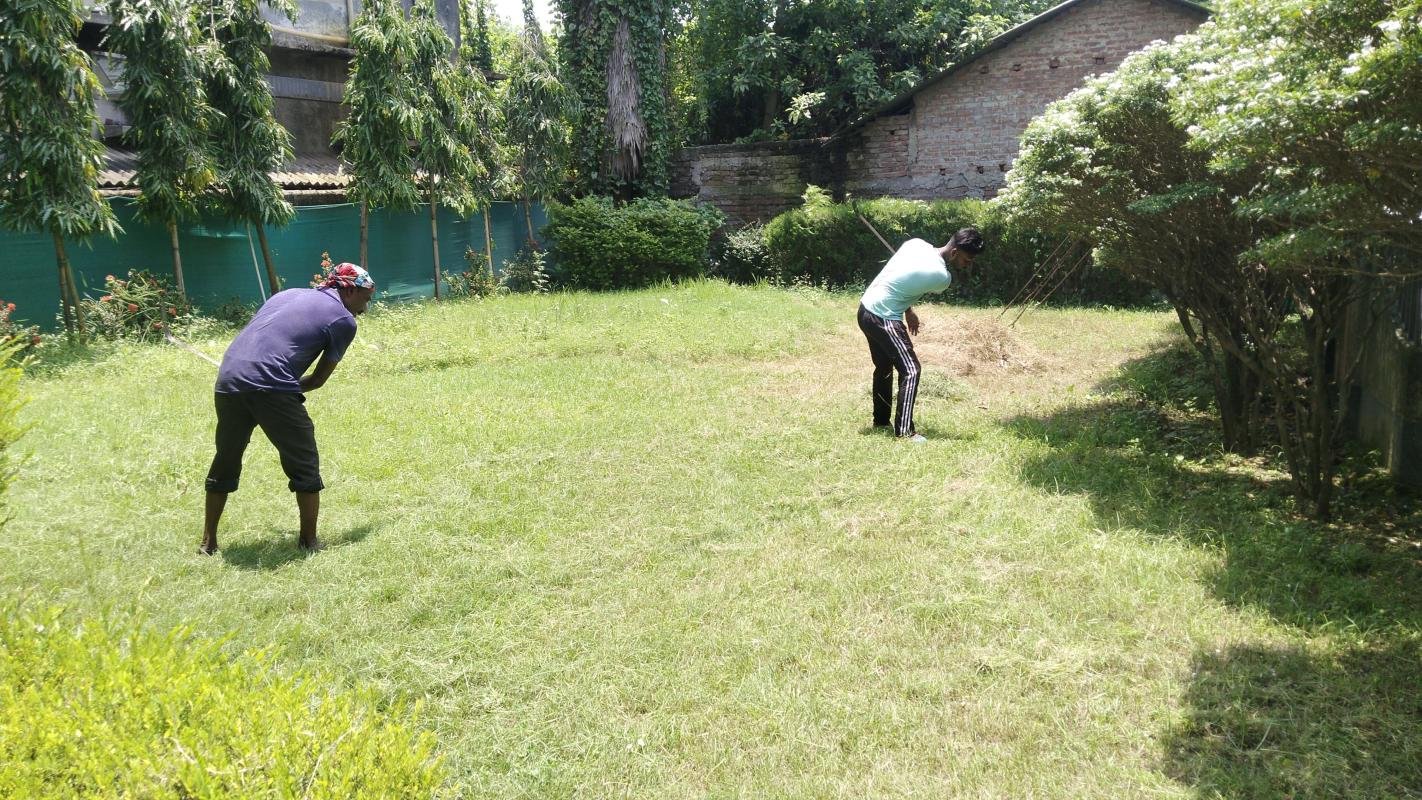 Regular housekeeping services